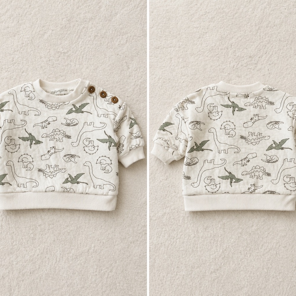 Emily & Oliver Dinosaur Sweatshirt 0-3M | Neutral Baby Pullover